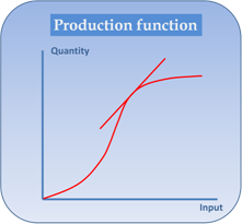 Production Function